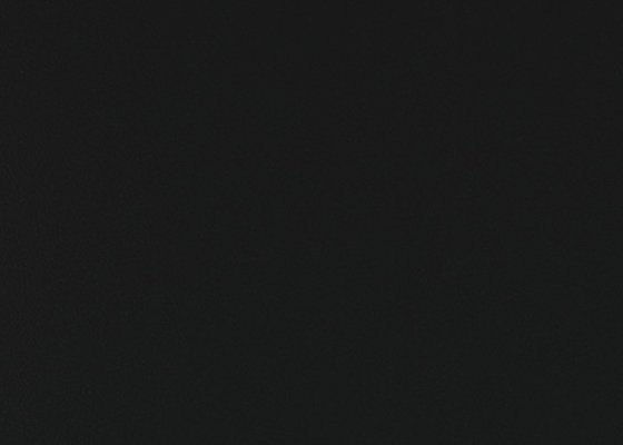 Résistant d'humidité 1.2mm auto-adhésif noir de vinyle de film de placard pour la cuisine