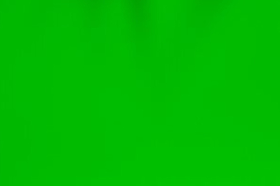 Engazonnez le matériel décoratif givré vert de visage de PVC de film de verre de fenêtre