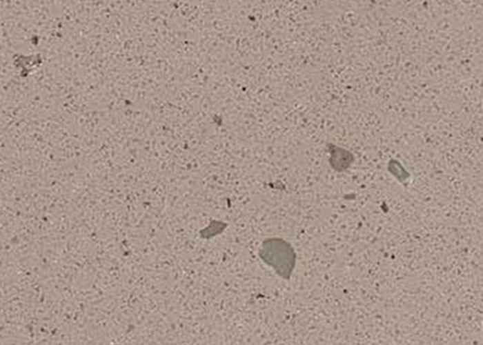 Petit pain de film en stratifié décoratif de vinyle solide concret d'effet démontable pour des murs